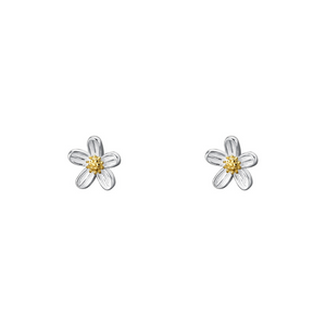 Tiny Small Daisy Flower Stud Earrings