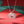 Holiday Apple Magenta Heart Charm Necklace