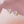 Dainty Tri-Color Princess Cut CZ Stud Earrings