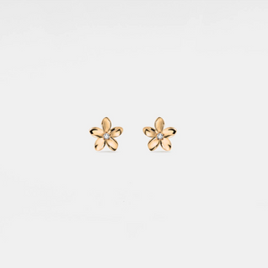 Winzige, kleine goldene Knorpelstecker in Blumenform