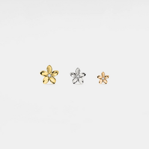 Winzige, kleine goldene Knorpelstecker in Blumenform