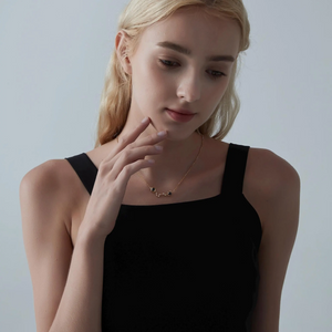 Big Dipper Double Photo Projection Necklace