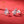 Christmas Tree Pearl Colorful CZ Stud Earrings