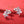 Christmas Tree Pearl Colorful CZ Stud Earrings