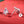 Christmas Tree Pearl Colorful CZ Stud Earrings
