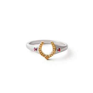 Dainty Two-Tone Horseshoe Crystal Band Ring