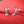 Candy Cane Heart Gingerbread Stud Earrings