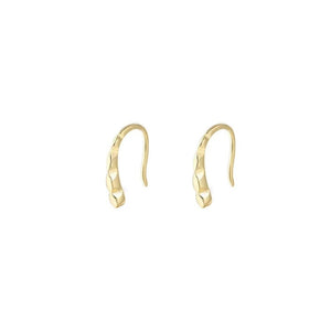 Textured Hammered Geometric Hook Earrings
