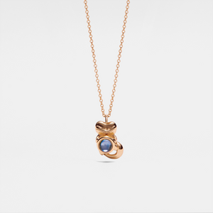 Collier de projection photo personnalisé Lézard