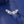Celestial Star Opal Arc Climber Stud Earrings