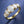 Classic Graduated Five-Stone Opal Band Ring