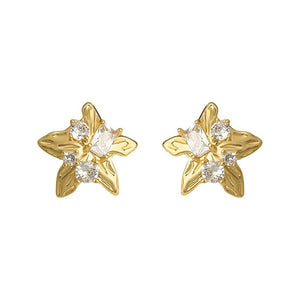 Sparkling CZ Starfish Beach Stud Earrings