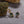 Mismatch Kite Natural Moss Agate CZ Earrings