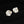 Minimalist Camellia Flower Stud Earrings
