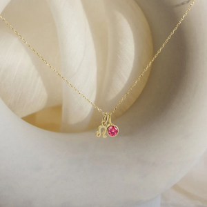 Custom Zodiac Birthstone Pendant Necklace