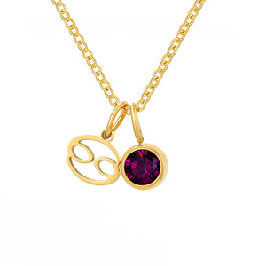 Custom Zodiac Birthstone Pendant Necklace