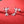 Candy Cane Heart Gingerbread Stud Earrings - Perimade & Co.