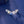 Celestial Star Opal Arc Climber Stud Earrings - Perimade & Co.
