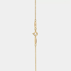 Gold chain necklace on a light gray background