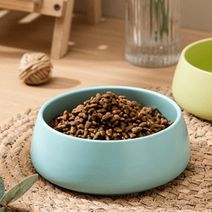 Light blue ceramic bowl filled with pet food on a woven mat