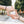 Two hands making a frame gesture with blurred greenery in the background