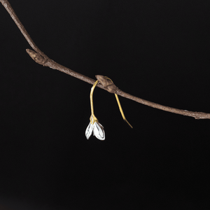 Small white flower bud on a branch against a black background