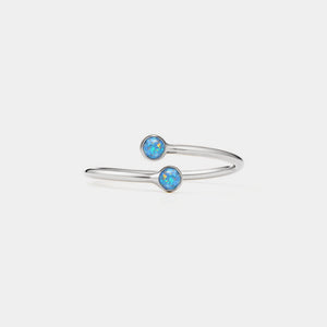 Silver bangle with two blue gemstones on a white background