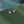 Silver fish-themed earrings on a green surface with a blurred background