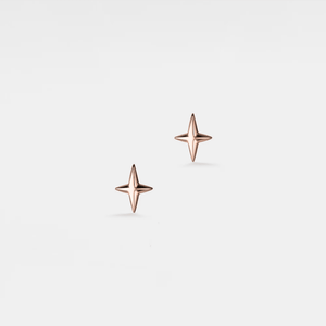Dainty Tiny Small Star Cartilage Stud Earrings - Perimade & Co.