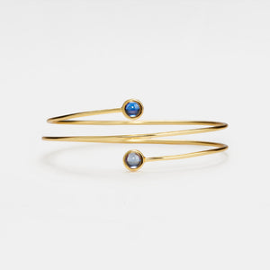 Gold bracelet with two gemstones on a white background