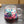 Hand holding a clear double wall glass coffee cup filled with colorful dry flowers.