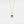 Load image into Gallery viewer, Dog Bone Photo Projection Necklace
