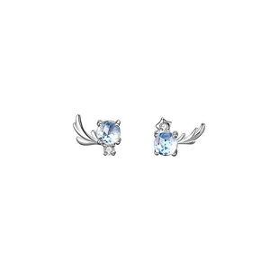 Pair of silver earrings with blue gemstones on a white background