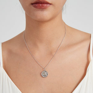 Silver necklace with a round locket featuring a moon face and star design, worn on a delicate chain on a model’s neck.