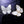 Mother of Pearl Butterfly Shell Inlay Brooch - Perimade & Co.