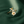 Delicate gold ring with a flower and bee design on a green fabric background