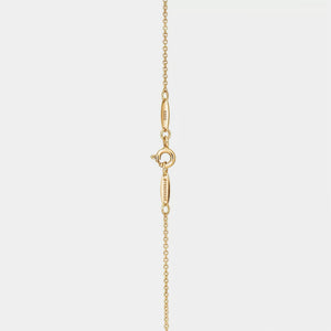 Gold necklace with a clasp on a light gray background