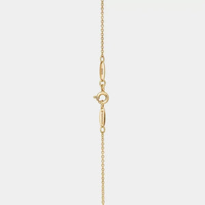 Gold necklace on a light gray background