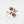Gold ring with pink gemstone flowers on a white background