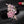 Decorative brooch with pink gemstones on a black background