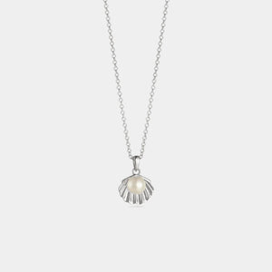 Silver necklace with a shell pendant on a light gray background
