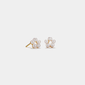 Pair of pearl earrings on a white background