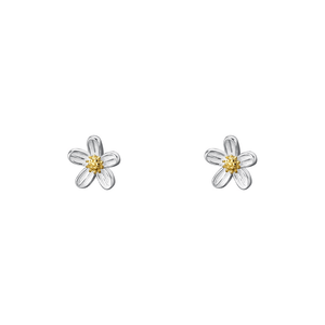 Pair of silver flower-shaped earrings with gold centers on a white background