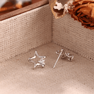Silver star-shaped earrings in a jewelry box with dried flowers.