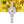 Sunflowers 20 mm Round Bracelet Watch - Perimade & Co.