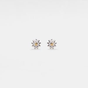 Pair of silver and gold flower-shaped earrings on a white background
