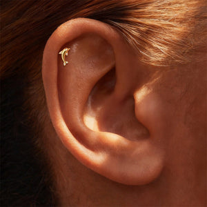 Tiny Dolphin Flat Back Cartilage Stud Earrings - Perimade & Co.