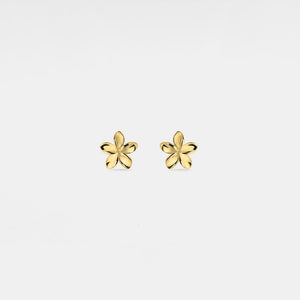 Pair of gold flower-shaped earrings on a light gray background