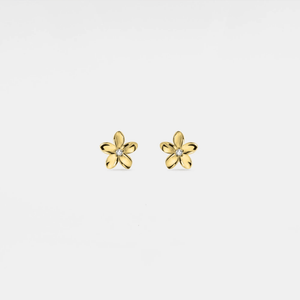 Gold flower-shaped earrings on a light gray background