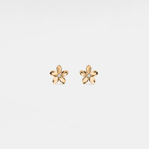 A pair of small gold flower stud earrings with a hypoallergenic finish.